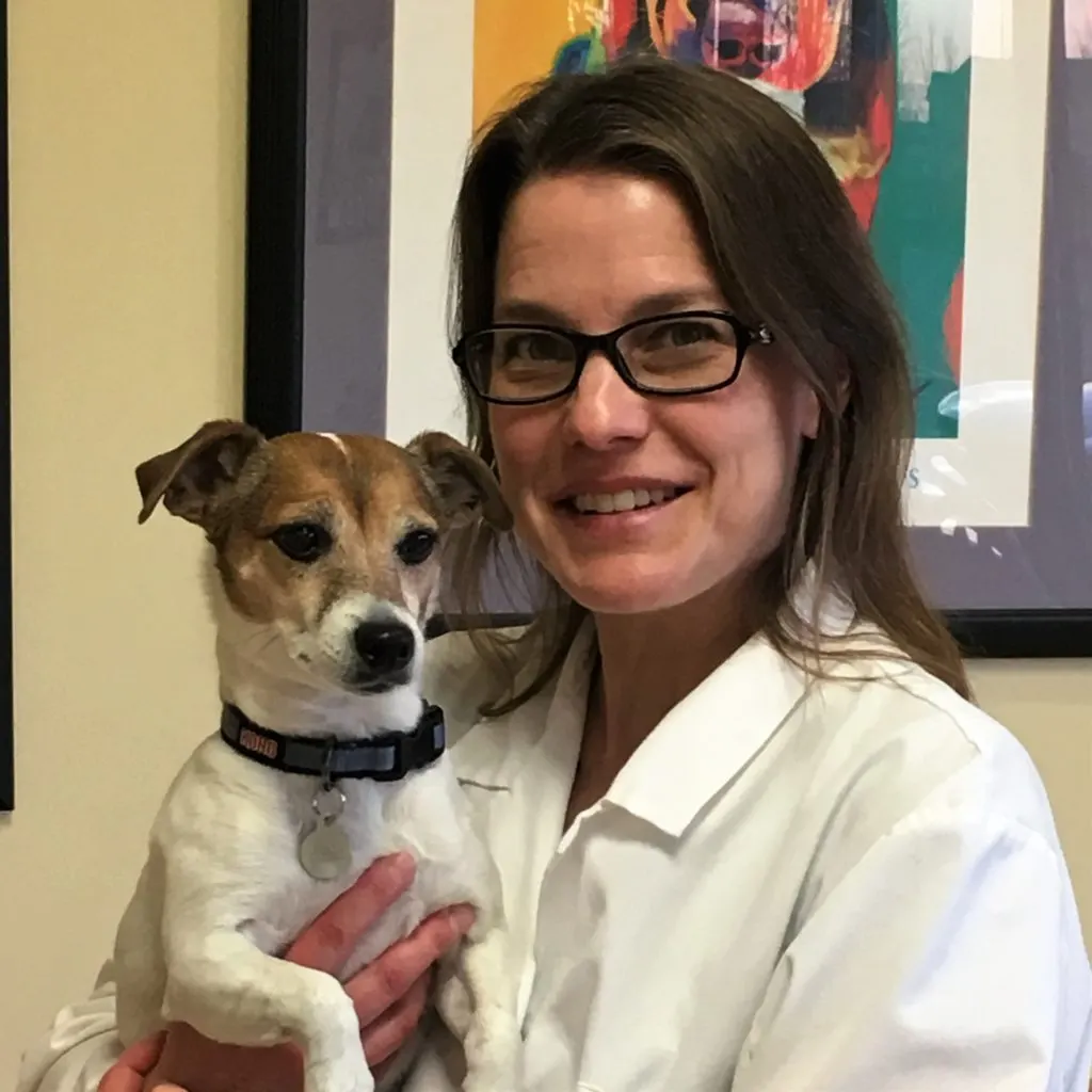 Dr Groth South Town Animal Hospital