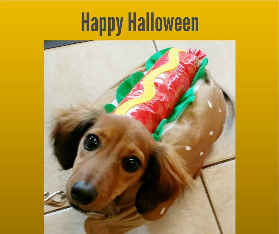 Happy Halloween