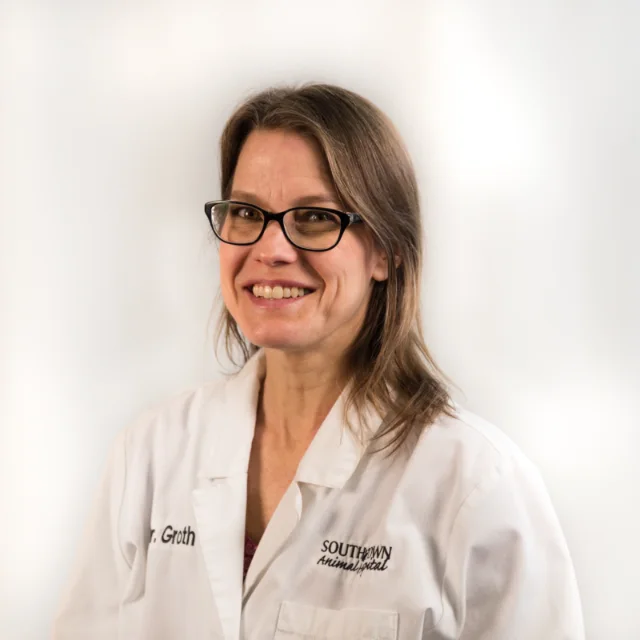 Dr. Deborah Groth, Veterinarian at South Town Animal Hospital