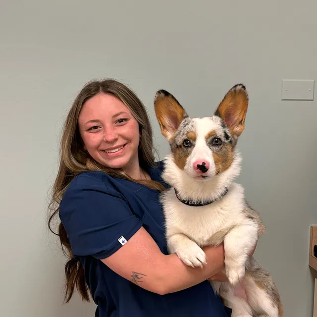 Payton Howell of South Town Animal Hospital, holding her dog