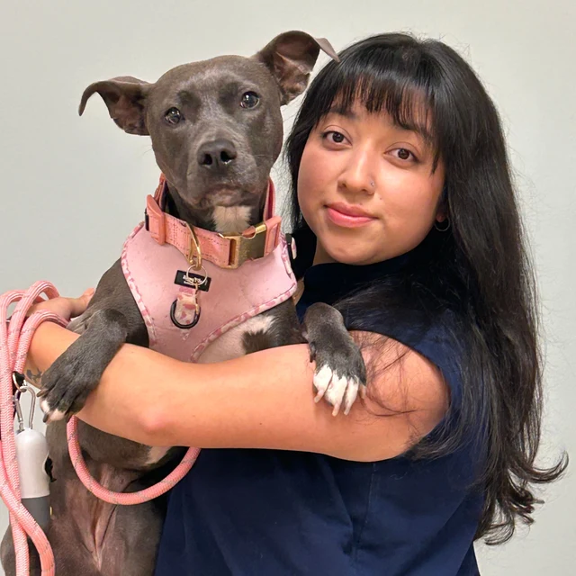 Stephanie, Patient Care Specialist at South Town Animal Hospital, holding a dog
