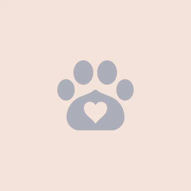 Virginia, Client Care Representative at South Town Animal Hospital